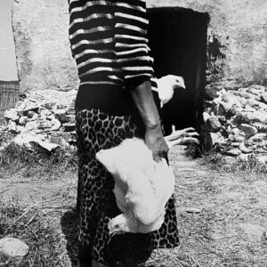 Guram Tsibakhashvili