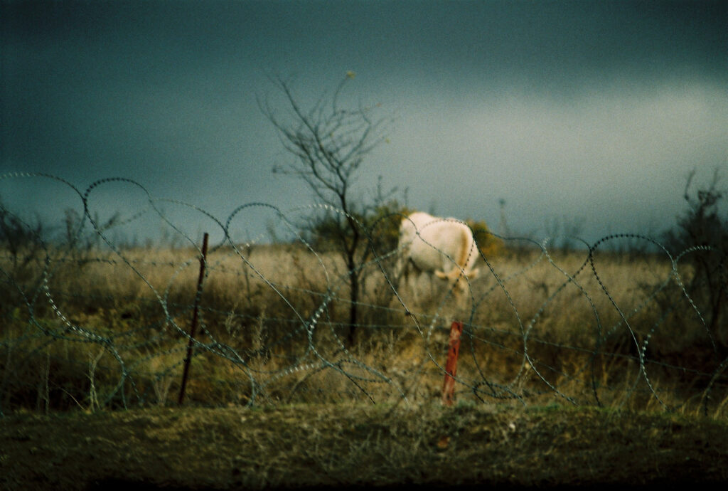 David Grigoryan