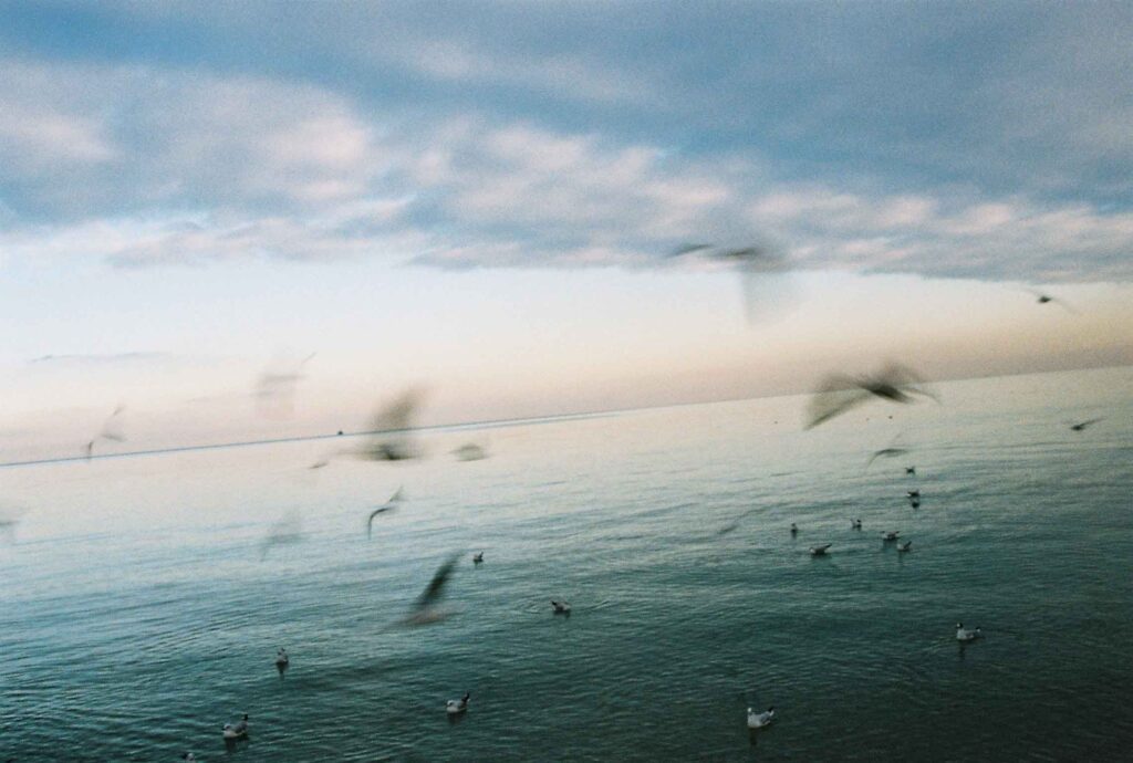 David Grigoryan