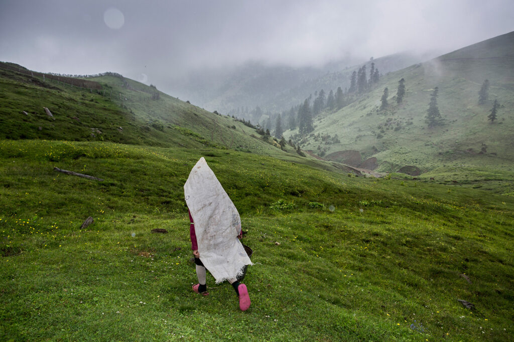 Natela Grigalashvili _ Untitled