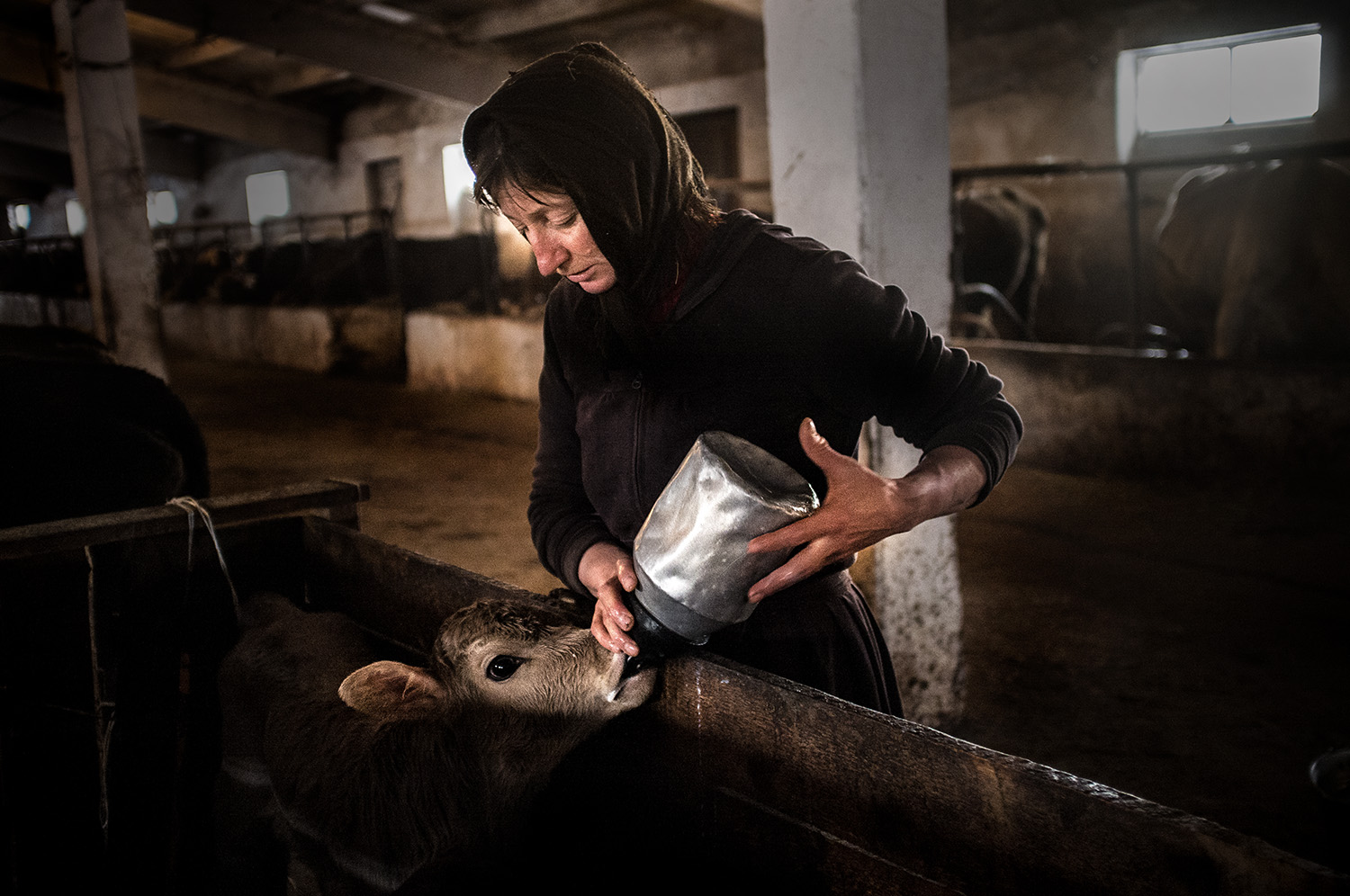 Natela Grigalashvili